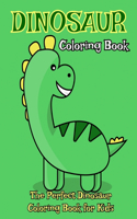 Dinosaur Coloring Book