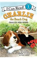 Charlie the Ranch Dog: Charlie's New Friend