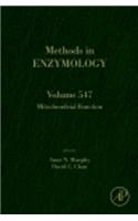 Mitochondrial Function