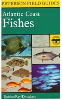 Field Guide to Atlantic Coast Fishes