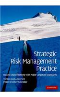 Strategic Risk Management Practice