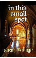 In This Small Spot