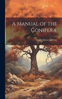 Manual of the Coniferæ