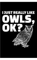 I Just Really Like Owls, OK?