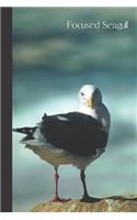 Focused Seagull
