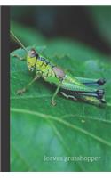 Leaves Grasshopper