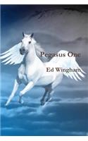 Pegasus One