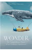 Wonder