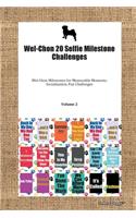 Wel-Chon 20 Selfie Milestone Challenges Wel-Chon Milestones for Memorable Moments, Socialization, Fun Challenges Volume 2
