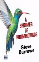 A Shimmer Of Hummingbirds
