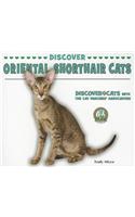 Discover Oriental Shorthair Cats