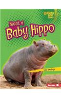 Meet a Baby Hippo: (Lightning Bolt Books)