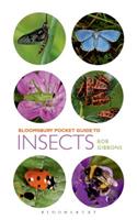 Pocket Guide to Insects