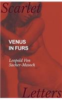 Venus in Furs