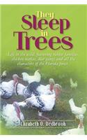 They Sleep in Trees