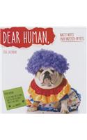 Dear Human 2016 Wall Calendar