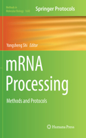 Mrna Processing