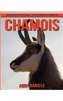 Chamois! An Educational Children's Book about Chamois with Fun Facts & Photos