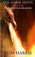 The Amber Moon Part One: Of Shadows & Dragons(Wings, Wands & Weird Worlds)