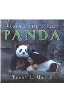 Saving the Giant Panda