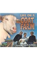 Life on a Goat Farm