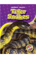 Tiger Snakes