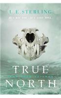 True North