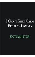 I cant Keep Calm because I am an Estimator: Writing careers journals and notebook. A way towards enhancement