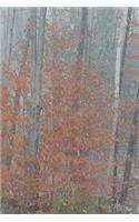2020 Weekly Planner Autumn Woods Foggy Morning Late Fall Trees 134 Pages
