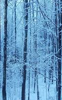 2020 Weekly Planner Winter Snowy Morning Blue Hour 134 Pages: 2020 Planners Calendars Organizers Datebooks Appointment Books Agendas