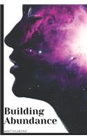 Building Abundance