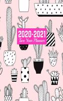 2020-2021 Two Year Planner: 24-Month Planner & Calendar - Large 8.5 x 11 (Jan 2020 - Dec 2021) Daily Weekly and Monthly Schedule - Art Cover 00023189