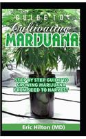 Guide to Cultivating Marijuana: Step by Step Guide to Growing Marijuana from Seed to Harvest