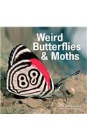 Weird Butterflies and Moths
