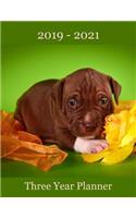 2019 - 2021 Three Year Planner: American Pit Bull Terrier Puppy Cover - Includes Major U.S. Holidays and Sporting Events