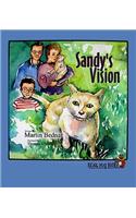 Sandy's Vision