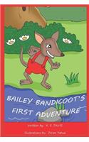 Bailey Bandicoot's First Adventure