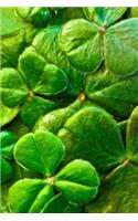 Green Shamrocks (Project/Holiday Planner): 6 x 9, Project/Daily Planner, Medium Ruled, Soft Cover