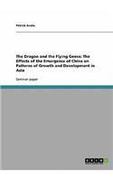 Dragon and the Flying Geese