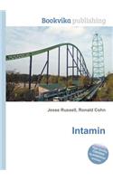 Intamin: (English)