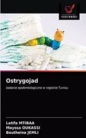 Ostrygojad