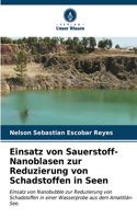 Einsatz von Sauerstoff-Nanoblasen zur Reduzierung von Schadstoffen in Seen