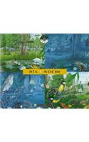 Dia y Noche