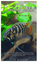 Convict Cichlid Care Guide