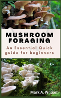 Mushroom Foraging: A Quick Essential Guide For Beginners