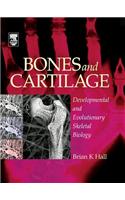 Bones and Cartilage