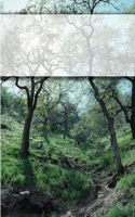 Integral Practice of Therapy