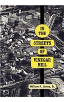In The Streets Of Vinegar Hill