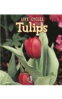 Tulips: (Plant Life Cycles First Steps)