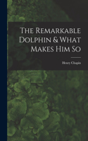 Remarkable Dolphin & What Makes Him So